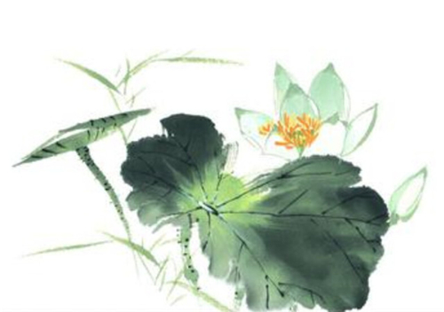 萱姿国际心灵益站 萱姿国际心灵益站