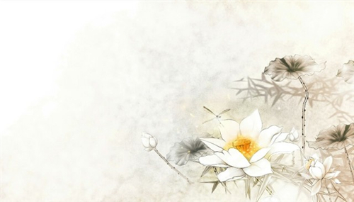 萱姿国际心灵益站