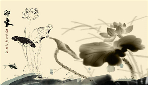 萱姿国际心灵益站