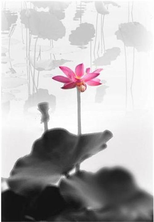 萱姿国际心灵益站