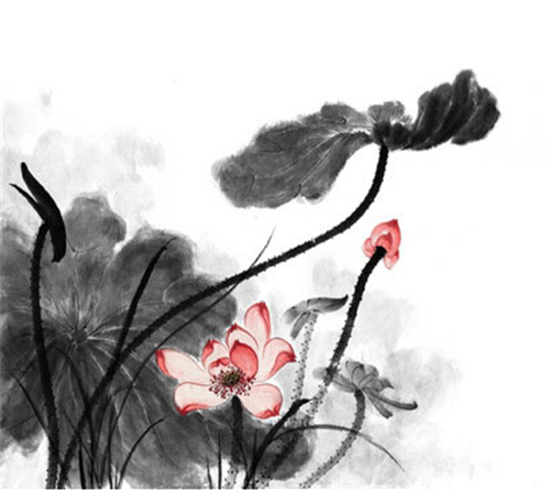 萱姿国际心灵益站