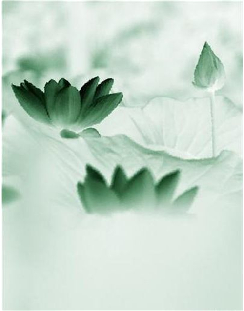 萱姿国际心灵益站