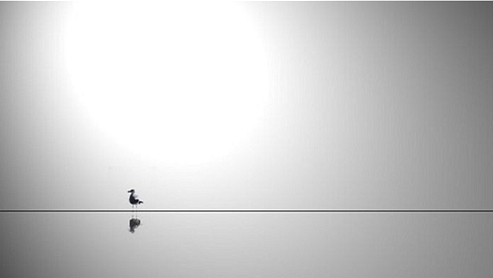 挣脱枷锁,倾听心灵的呼声——萱姿国际 挣脱枷锁,倾听心灵的呼声——萱姿国际