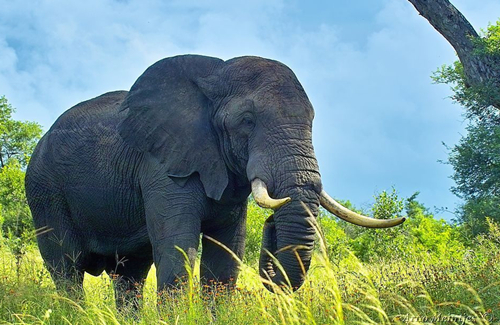 挣脱枷锁,倾听心灵的呼声——萱姿国际 挣脱枷锁,倾听心灵的呼声——萱姿国际